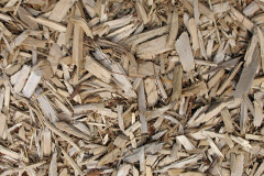 biomass boilers Sturgate